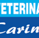 Amber Giles - Vet Melbourne