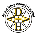 Avoca Drive Animal Hospital - Vet Melbourne