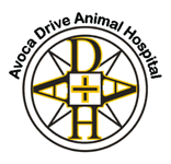 Avoca Drive Animal Hospital - Vet Melbourne 0