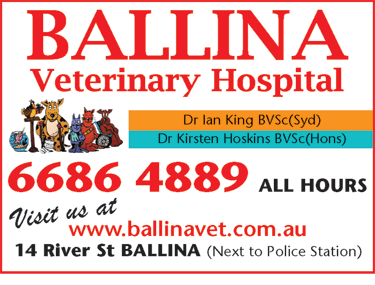 Ballina Veterinary Hospital - Vet Melbourne 6
