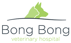  Vet Melbourne