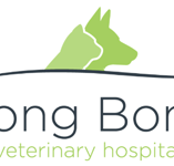 BONG BONG VETerinary Hospital - Vet Melbourne