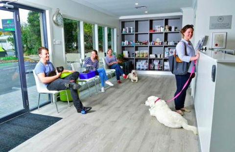 BONG BONG VETerinary Hospital - Vet Melbourne 5