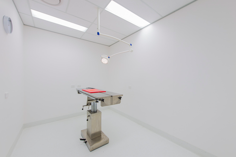 Bundaberg South Vet Clinic - Vet Melbourne 13
