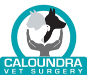 Caloundra Vet