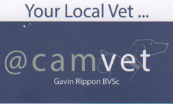  Vet Melbourne
