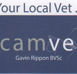 Camvet - Vet Melbourne