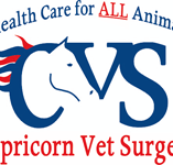 Capricorn Vet Surgery - Vet Melbourne