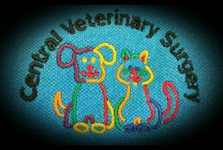 Central Veterinary Surgery - Vet Melbourne 0