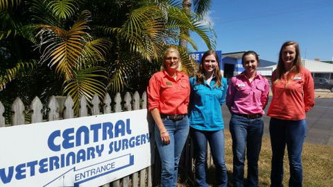 Central Veterinary Surgery - Vet Melbourne 1