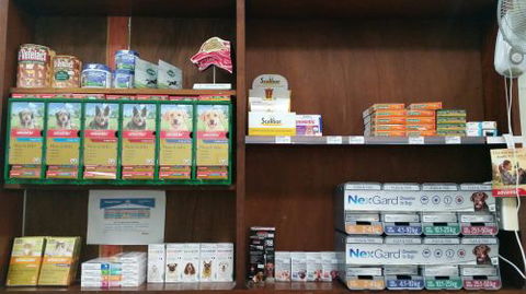 Central Veterinary Surgery - Vet Melbourne 4