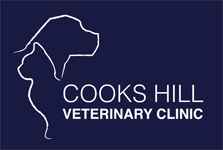 Newcastle East NSW Vet Melbourne