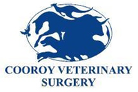 Cooroy Veterinary Surgery