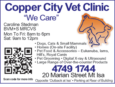 Copper City Vet Clinic - Vet Melbourne 1