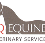 CQ Equine Veterinary Service - Vet Melbourne