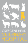  Vet Melbourne