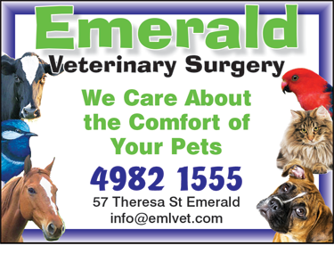 Emerald Veterinary Surgery, Boarding Kennel & Cattery - Vet Melbourne 1