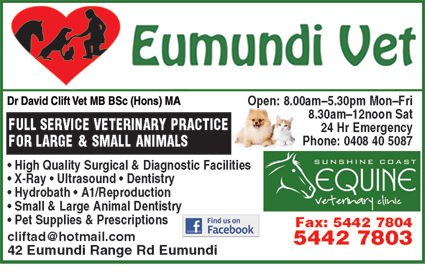 Eumundi Vet - Vet Melbourne 4
