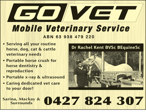 Go Vet Mobile Veterinary Service - Vet Melbourne 1