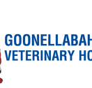 Goonellabah Veterinary Hospital - Vet Melbourne