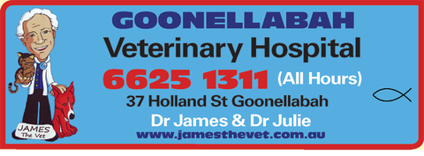 Goonellabah Veterinary Hospital - Vet Melbourne 1
