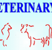 Gympie Veterinary Services - Vet Melbourne
