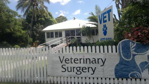 Harbour City Veterinary Surgery - Vet Melbourne 1
