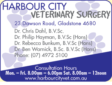 Harbour City Veterinary Surgery - Vet Melbourne 2