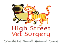 High Street Veterinary Surgery
