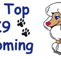 Hill Top K9 Grooming - Vet Melbourne
