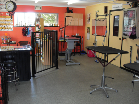 Hill Top K9 Grooming - Vet Melbourne 4