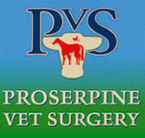 Jason Mansfield - Vet Melbourne