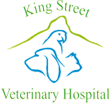 King Street Veterinary Hospital - Vet Melbourne
