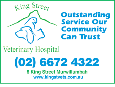 King Street Veterinary Hospital - Vet Melbourne 1