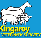 Kingaroy Veterinary Surgery - Vet Melbourne