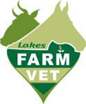 Nerong NSW Vet Melbourne