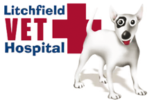 Litchfield Veterinary Hospital - Vet Melbourne 0