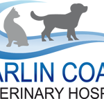 Marlin Coast Veterinary Hospital - Vet Melbourne