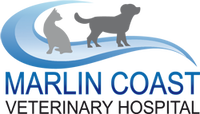 Book Palm Cove Accommodation Vacations Vet Melbourne Vet Melbourne