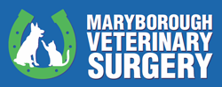  Vet Melbourne