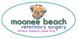 Moonee Beach Veterinary Surgery - Vet Melbourne 0