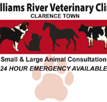 Morpeth Veterinary Hospital - Vet Melbourne