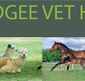 Mudgee Veterinary Hospital - Vet Melbourne