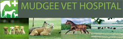Mudgee Veterinary Hospital - Vet Melbourne 0