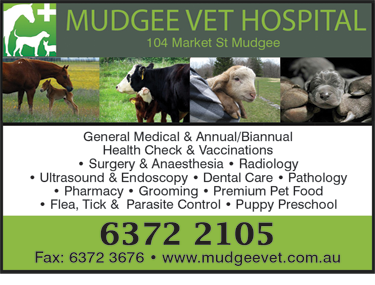 Mudgee Veterinary Hospital - Vet Melbourne 1