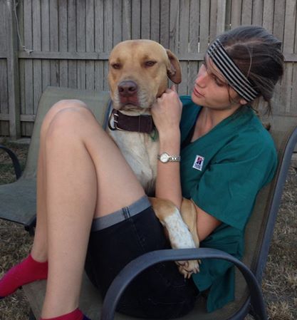 North Bundaberg Vet Surgery Pty Ltd - Vet Melbourne 3