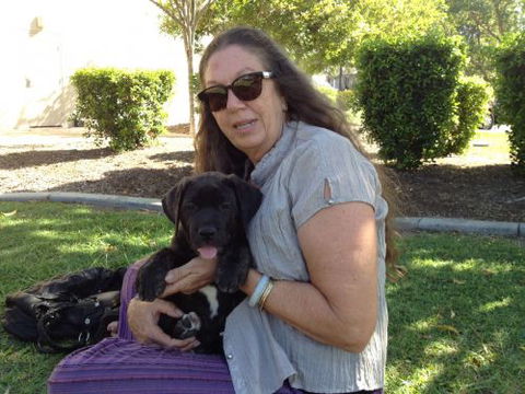 North Bundaberg Vet Surgery Pty Ltd - Vet Melbourne 5