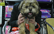 North West Veterinary Clinic - thumb 1