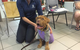 North West Veterinary Clinic - thumb 3