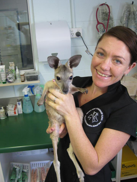 North West Veterinary Clinic - Vet Melbourne 4